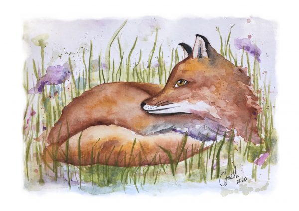 A watercolour print of a fox laying down